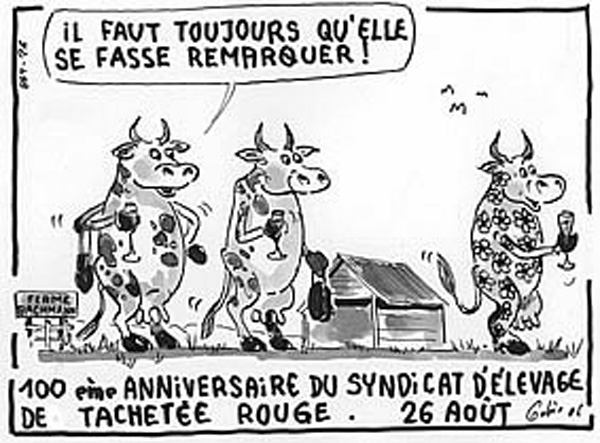 24_8_2006