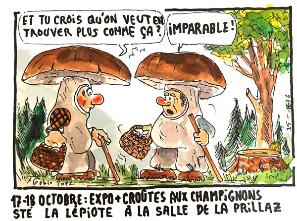 Expo champis