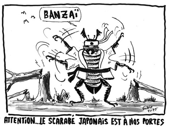Gobio - 18 septembre 2025